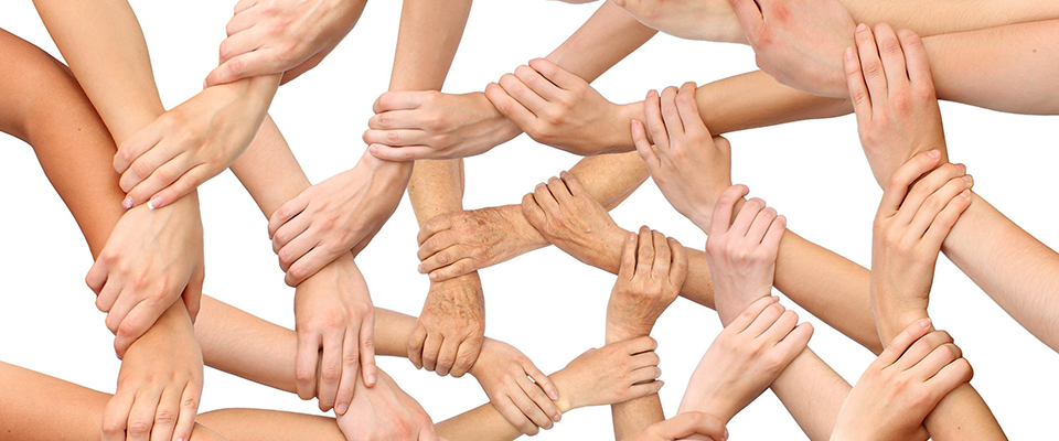 Verein Schwyzer Berufsschullehrkräfte